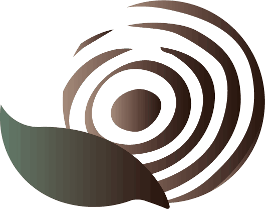 Logo Holz Enns